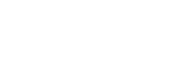 Beedost Teknoloji